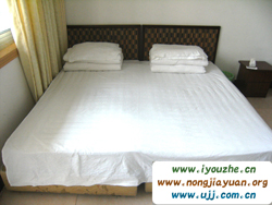 ʯ�֍{�l(xi��ng)�H�r(n��ng)��