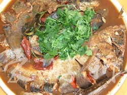 ˾�R�_(t��i)���Έ��������f