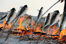 ��ɽ��ꖜ��r(n��ng)��Ժ