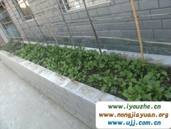 ̶���¹������r(n��ng)�f