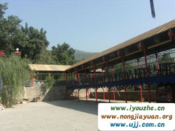 ̶���¹������r(n��ng)�f