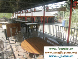 ̶���¹������r(n��ng)�f