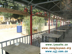 ̶���¹������r(n��ng)�f