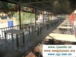 ̶���¹������r(n��ng)�f