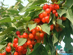 ̶�����e�����r(n��ng)��Ժ