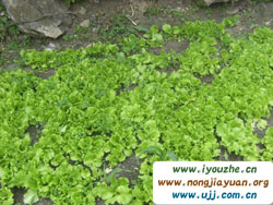 ��Դ�ɹ���@�͗�