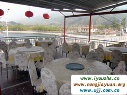 �F�`ɽ�����Ƽ�