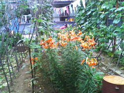 �ˮ�����Դ�����r(n��ng)��Ժ