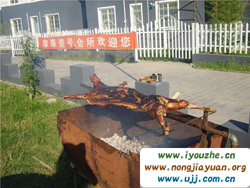 Ħ̩1̖(h��o)���e��(hu��)��