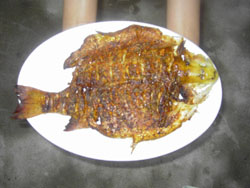 �Ĺ���̶��(m��ng)��(m��ng)�r(n��ng)��Ժ