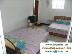 �Ĺ���̶��(m��ng)��(m��ng)�r(n��ng)��Ժ