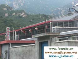 �Ĺ���̶��(m��ng)��(m��ng)�r(n��ng)��Ժ