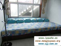 �Ĺ���̶��(m��ng)��(m��ng)�r(n��ng)��Ժ