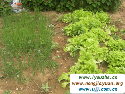 Ұ���°���{��ɽ�r(n��ng)��Ժ