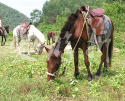 Ұ�����䘷�@�r(n��ng)��Ժ