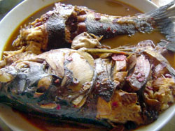 Ұ�����䘷�@�r(n��ng)��Ժ