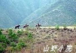 Ұ���°���{ɽҰ�r(n��ng)��Ժ