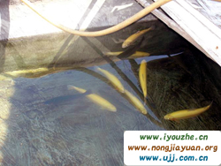 Ұ���»���e�^