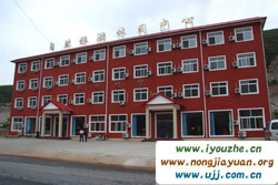 ����{��Ȼ�������e����