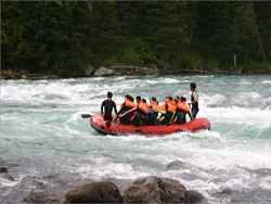 ����{��Ȼ�������e����