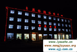 ����{��Ȼ�������e����