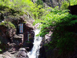 ��ᶹȹű��͗�