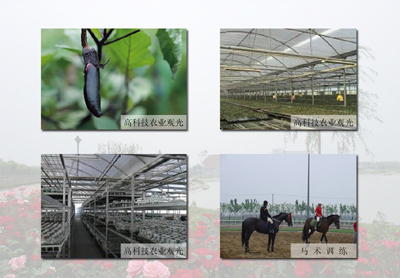 �������r(n��ng)�ƈ@���ζȼم^(q��)