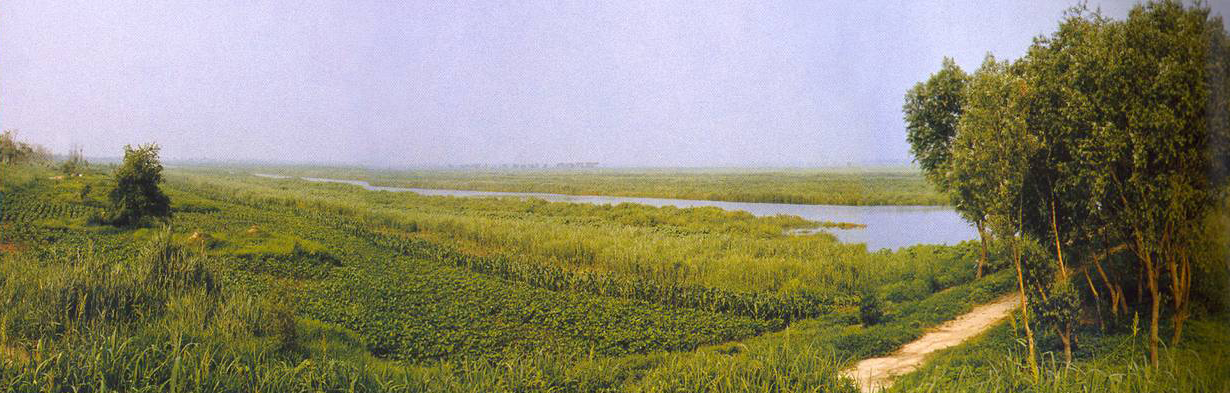 ���ﺣ���Ҽ���Ȼ���o(h��)�^(q��)