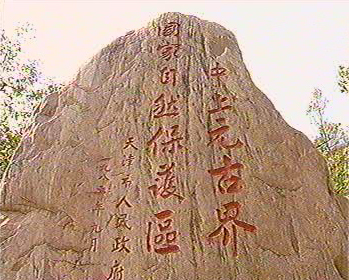 ����Ԫ�Ž������Ȼ���o(h��)�^(q��)