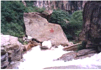 �ŵ�����{��