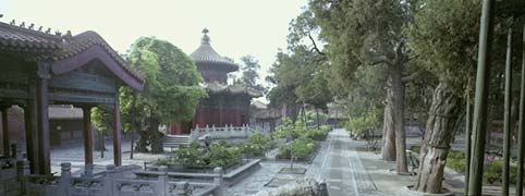 �ʌm�����@